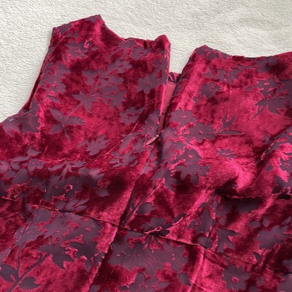 Vintage Japanese Brigitte Burnt Velvet Dress - Picture 3 of 7